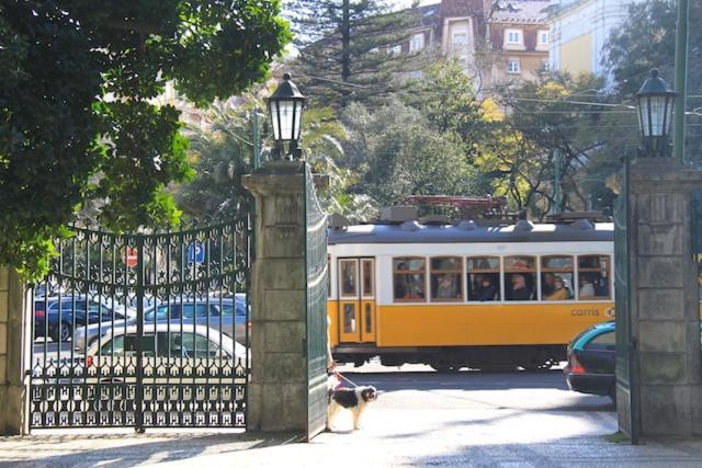 Apartamento Bem Localizado Para Familias & Amigos Apartment Lisbon Luaran gambar